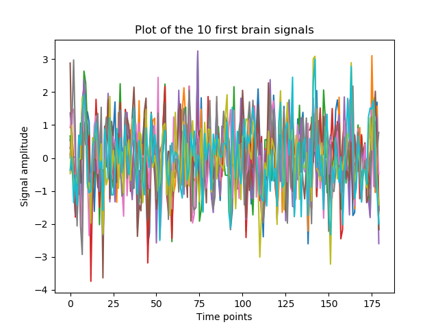 ../../_images/sphx_glr_plot_times_series_extraction_001.png